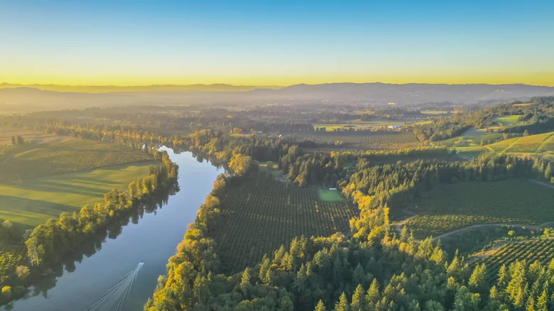 Private Wine Tasting The best things to do in Newberg