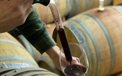 What to Expect from our Barrel Tasting Experience at Natalie’s Estate Winery