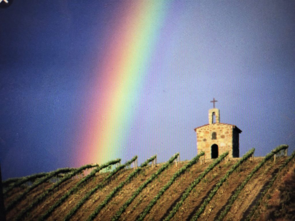 Rainbow over Chapel Block at Red Willow Vineyard, WA