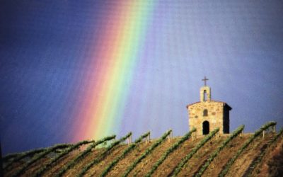The Story Behind Chapel Block Syrah at Natalie’s Estate Winery