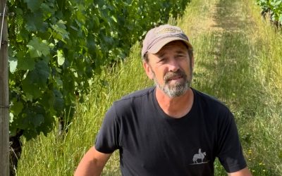 The Impact of Sustainable Wine Practices on Our Wine at Natalie’s Estate Winery