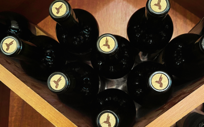 6 Mistakes People Make When Storing Wine (and How to Avoid Them)