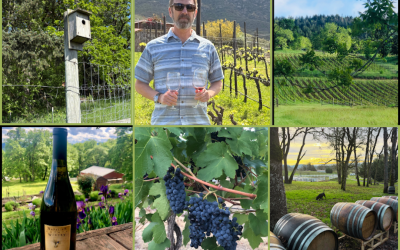 Sustainability in the Vineyard: Farming with Intention at Natalie’s Estate Winery