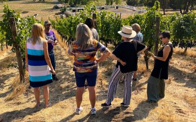 More Than a Tasting: Explore the Vineyard, the Land and the Wines
