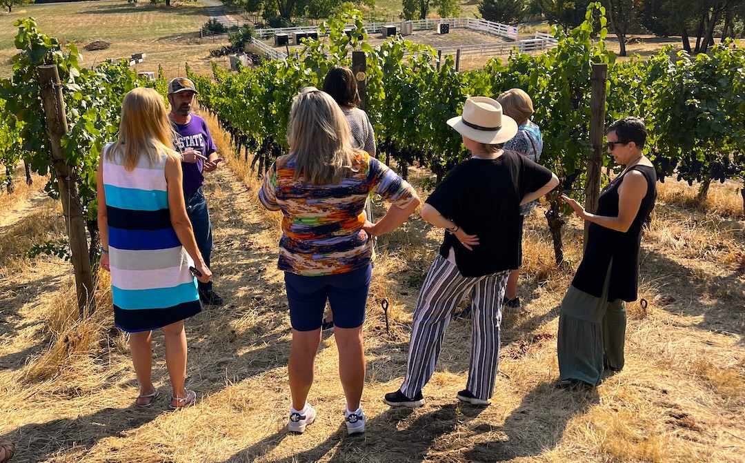 Vineyard tour at Natalies Estate