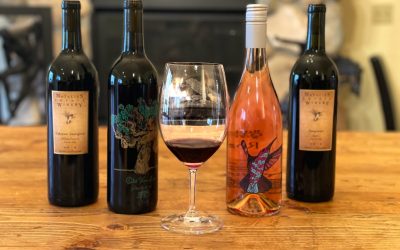 Beyond Pinot Noir: Discovering Willamette Valley’s Hidden Red Wines