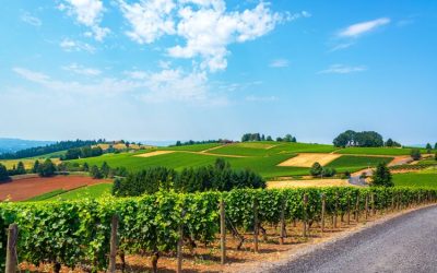 Travel + Leisure Recommends A Visit to Natalie’s Estate