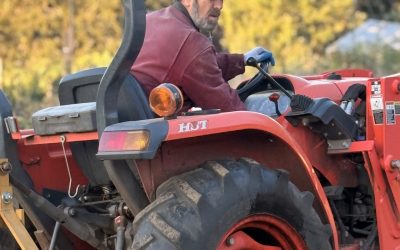 From Vineyard to Cellar: What Happens After the Grapes are Harvested?
